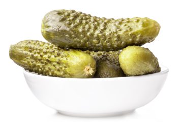 סוד ההצלחה של הבוטים של דן ושירלי
